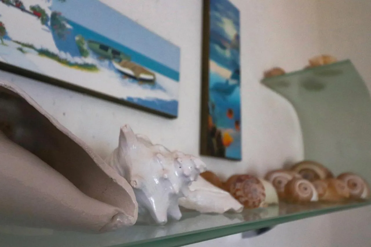 Una Conchiglia Sul Mare Attico Vista Portofino Apartment Zoagli